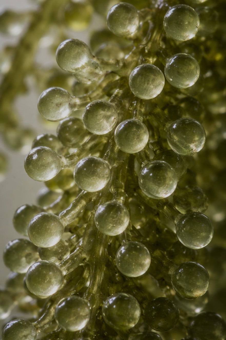 THE AGE DEFIANCE DAY CREAM FOR MEN