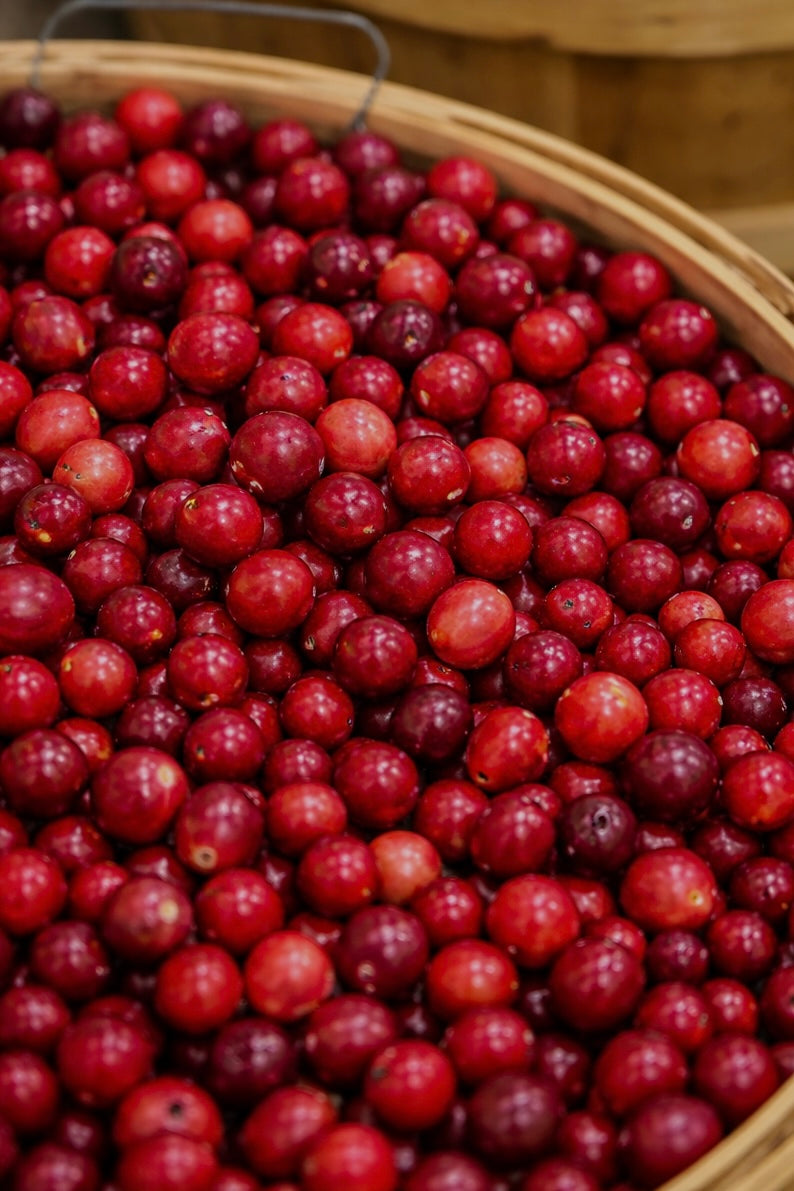 THE AGE DEFIANCE DAY CREAM FOR MEN