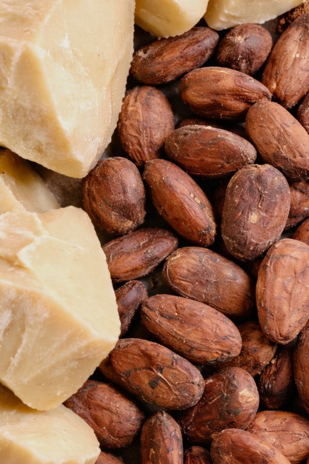 THE NOCTURNAL REPAIR CREAM