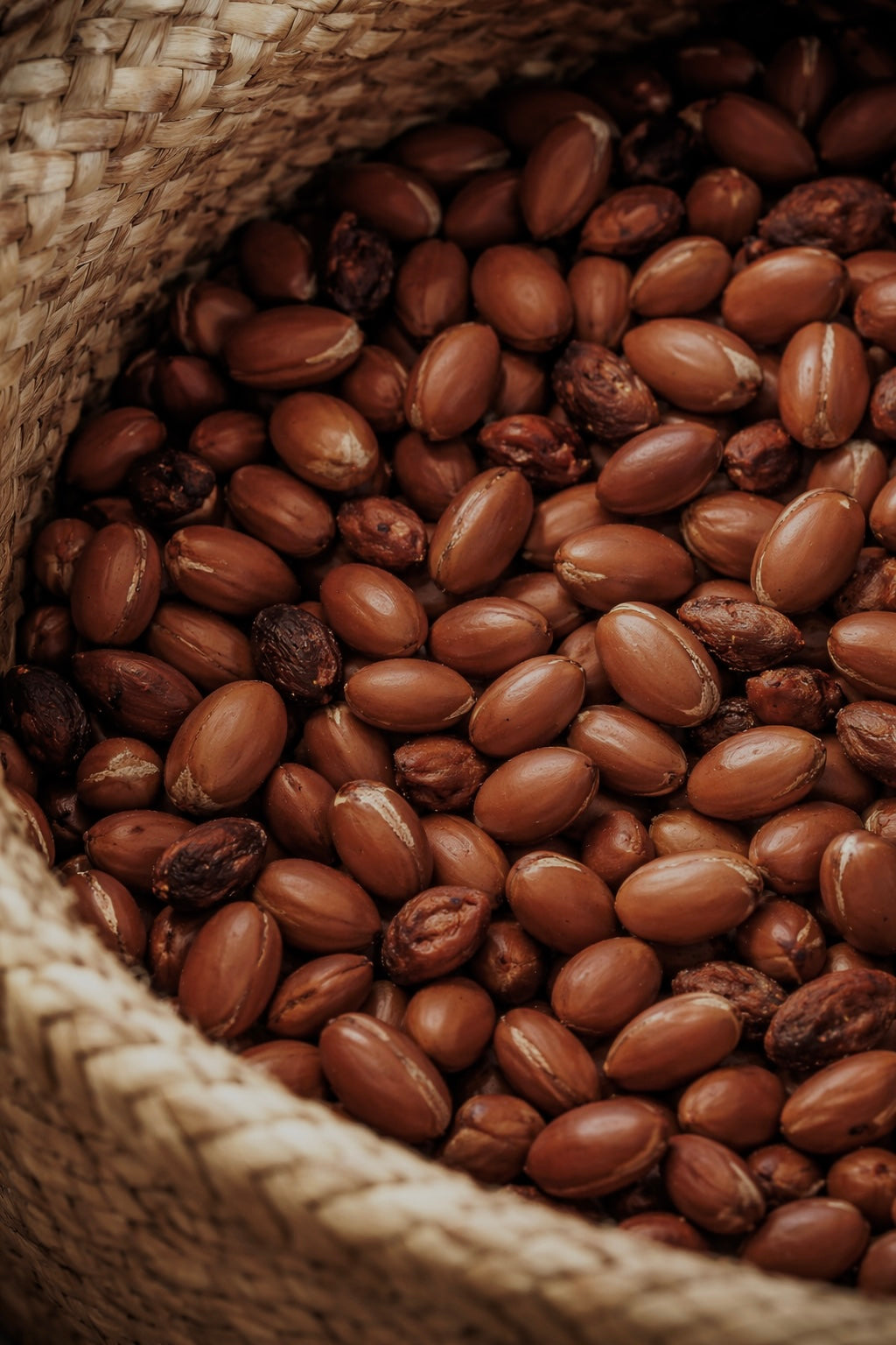 THE GENTLE MILK CLEANSER