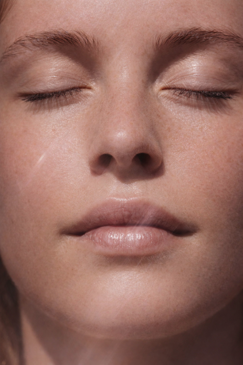 THE ANTIOXIDANT DEFENSE BOOSTER