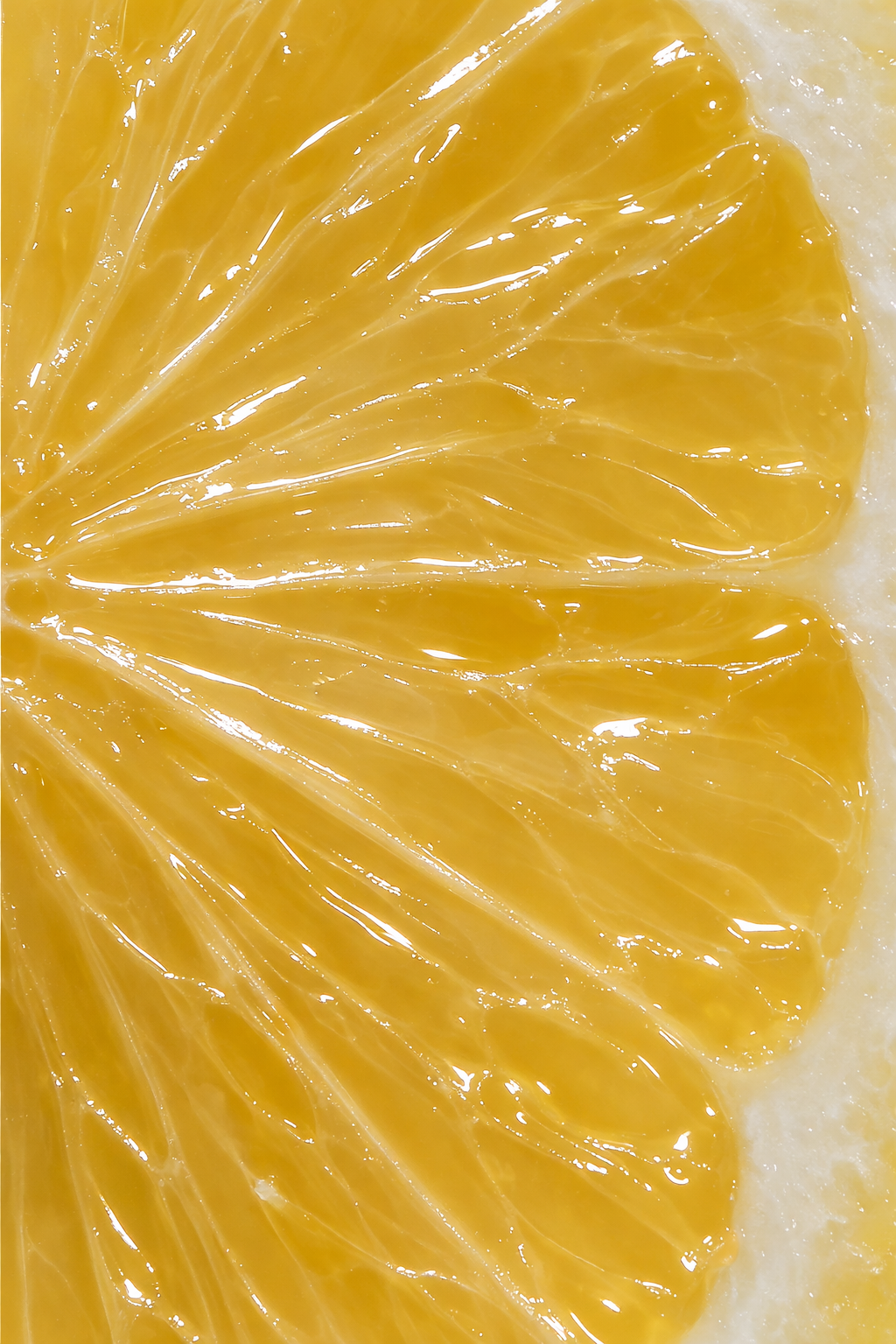 THE GOLDEN C SERUM
