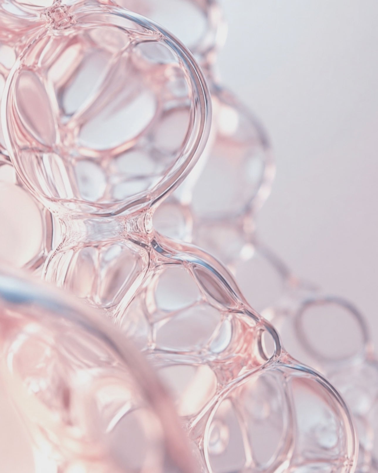 THE PEPTIDE RENEWAL SERUM