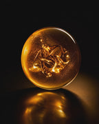 The Transforming Oil Cleanser